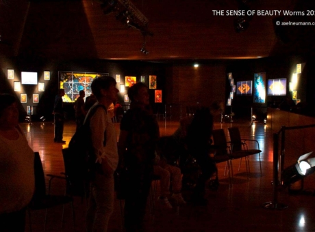 Ausstellung The Sense of Beauty - Atelier Axel Neumann